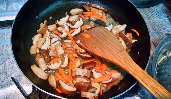 1498638103-1783432558_n.jpg?v=1498638142