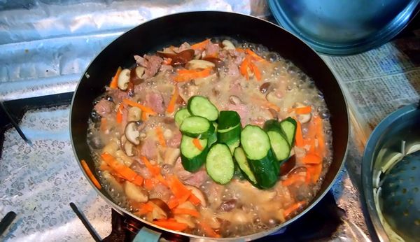 1498638109-1167949318_n.jpg?v=1498638142