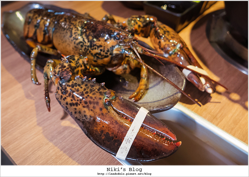 1499267635-3846666844.jpg?v=1499267848