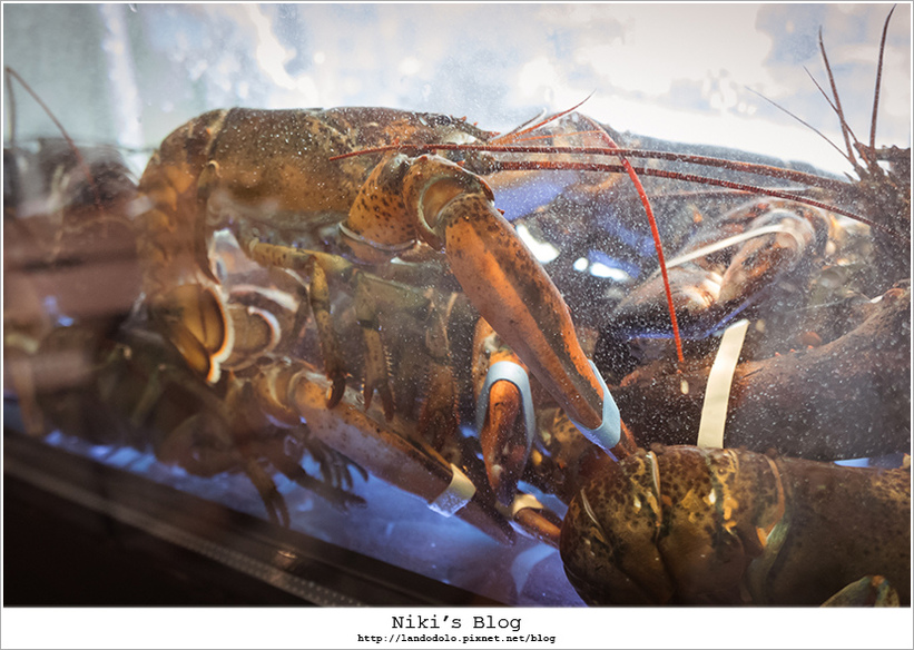 1499266721-3542098993.jpg?v=1499267848