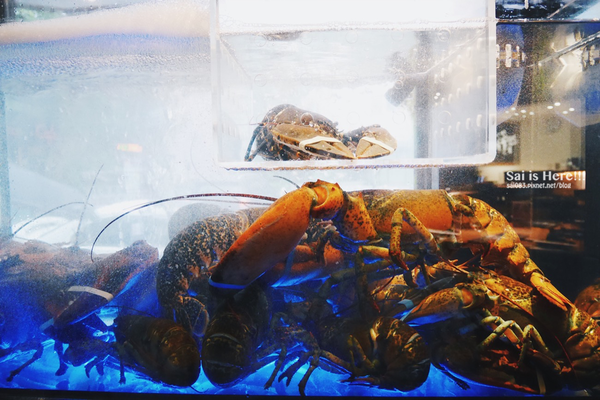 64854-1499594363-3554346487_n.png?v=1499594387