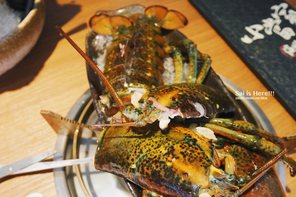 64854-1499596968-2149207672_n.png?v=1499596971