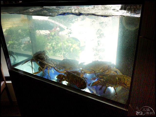 1499184547-3716358918.jpg?v=1499184593