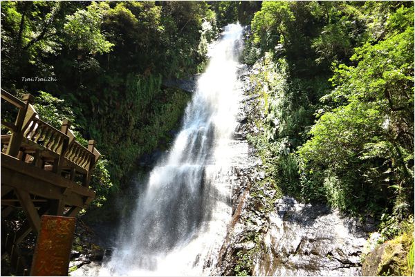 64917-1500208755-3837415840_n.jpg?v=1500208759