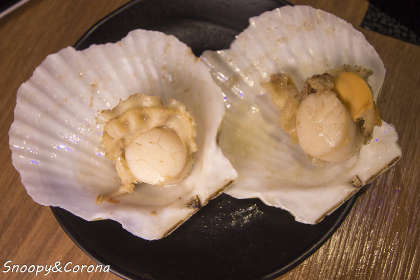 65000-1500009920-3562580170_l_thumb.jpg?v=1500021886