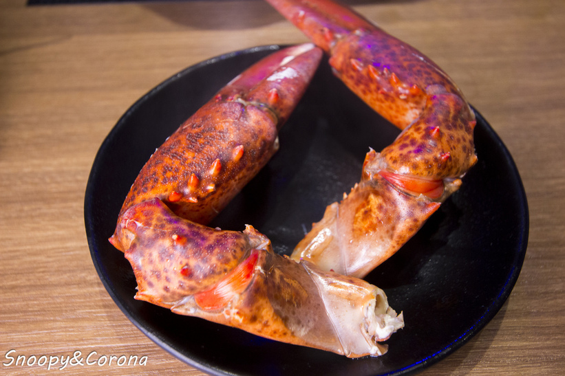 65000-1500009841-3676774808_l_thumb.jpg?v=1500021886