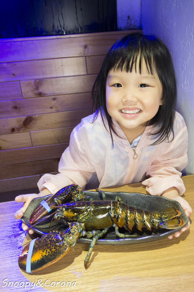 65000-1500008537-1455517513_l.jpg?v=1500021886