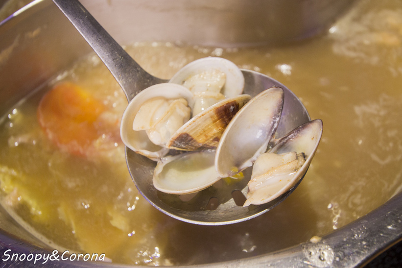 65000-1500009937-2088595460_l_thumb.jpg?v=1500021886