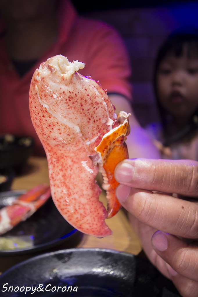 65000-1500009892-3030665632_l.jpg?v=1500021886