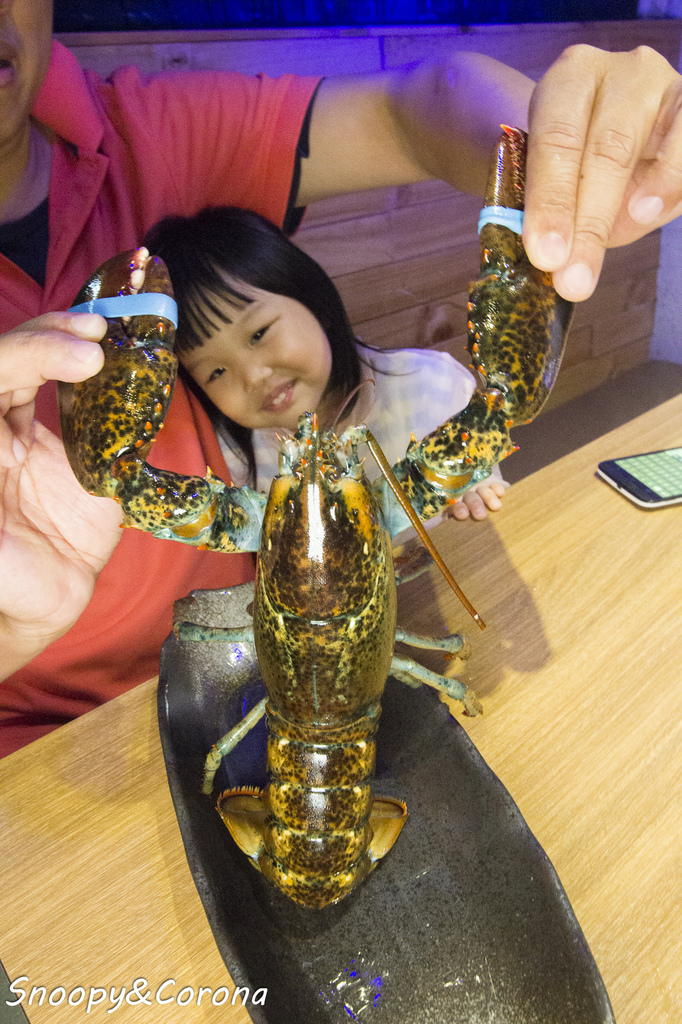 65000-1500008680-2789101949_l.jpg?v=1500021886