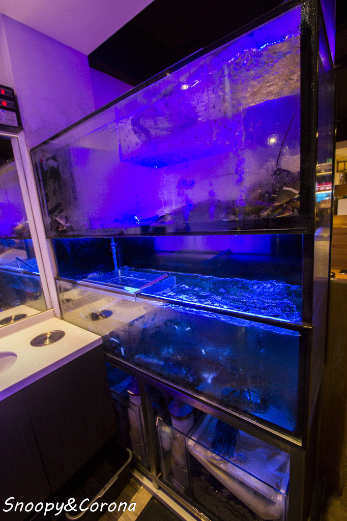 65000-1500017728-3229621656_l.jpg?v=1500021885