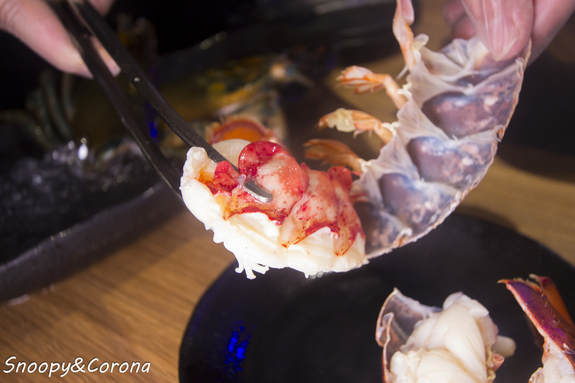 65000-1500009747-880790140_l_thumb.jpg?v=1500021886