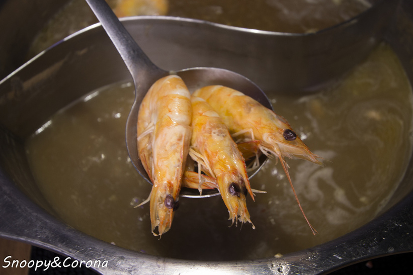 65000-1500009958-1199457529_l_thumb.jpg?v=1500021886