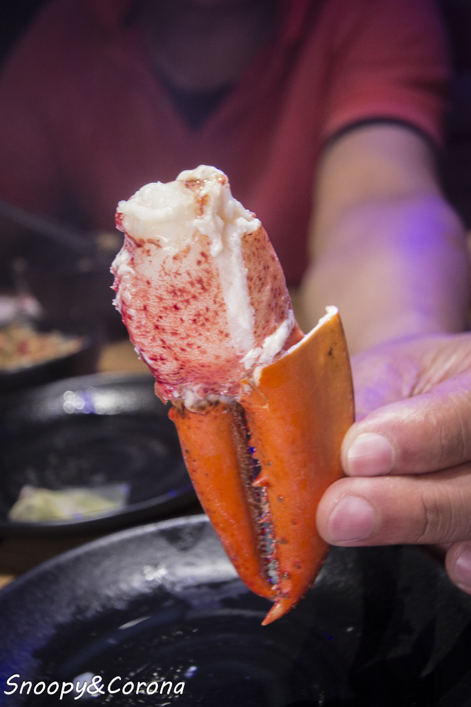 65000-1500009874-4085805419_l.jpg?v=1500021886