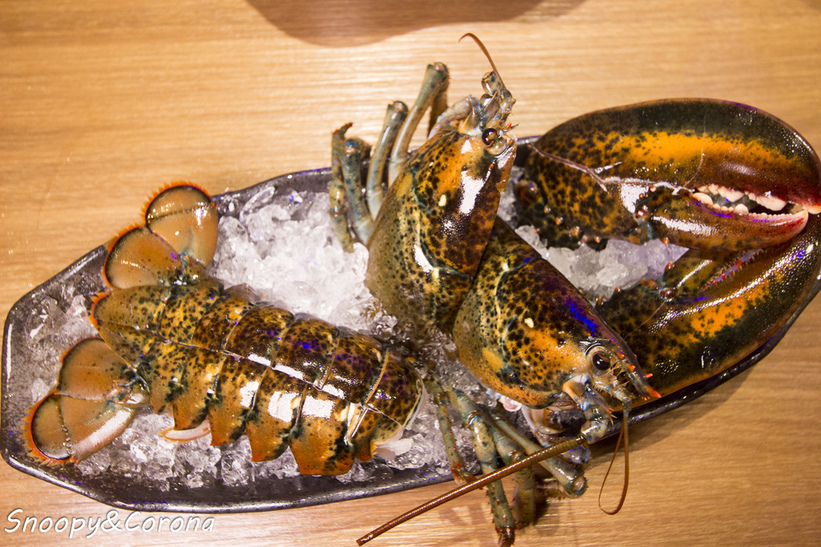 65000-1500009327-2224757989_l_thumb.jpg?v=1500021886