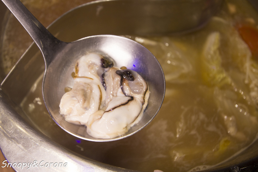 65000-1500009924-588945529_l_thumb.jpg?v=1500021886