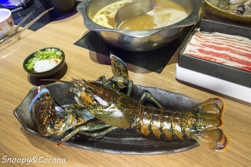 65000-1500008799-4130538833_l_thumb.jpg?v=1500021886