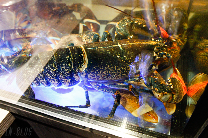 1498309171-1589640971.jpg?v=1498309267