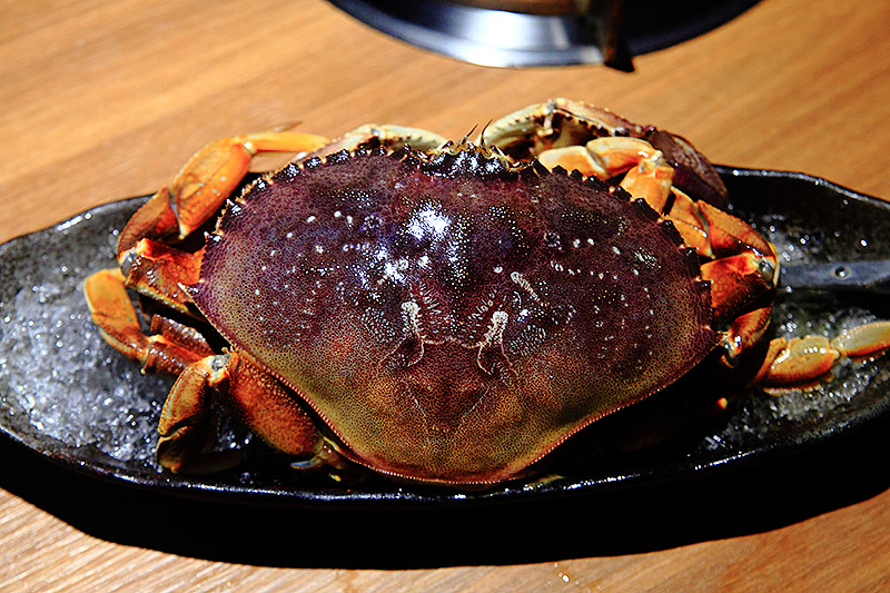 IMG_7027-cut-Sea-food-hot-pot.jpg