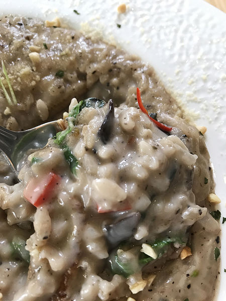 1499669702-3427079902_n.jpg?v=1499669703