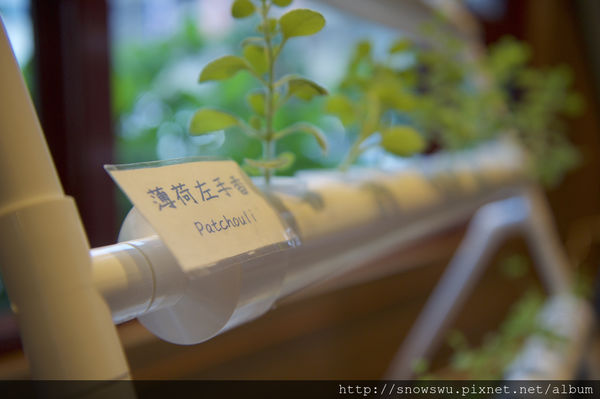 65491-1500179619-3112724926_n.jpg?v=1500180714