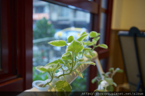 65491-1500179613-1487785504_n.jpg?v=1500180714