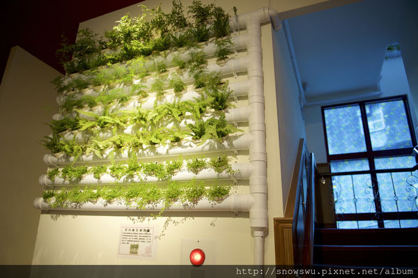 65491-1500179722-4231932399_n.jpg?v=1500180714