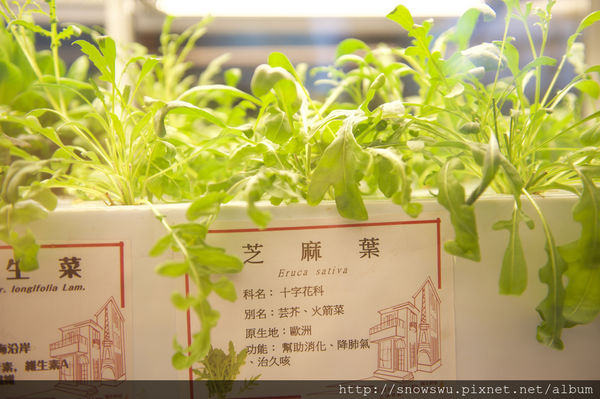 65491-1500179848-123396370_n.jpg?v=1500180716