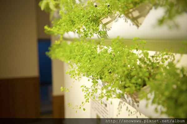 65491-1500179736-1787824859_n.jpg?v=1500180715