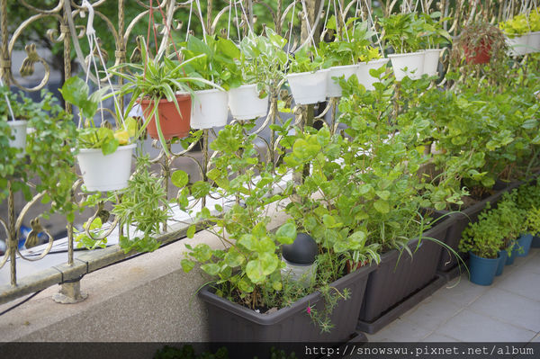 65491-1500180069-119367920_n.jpg?v=1500180717