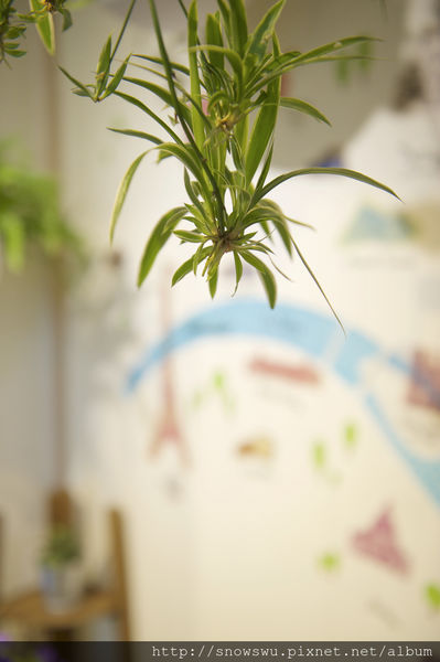 65491-1500179972-2284108968_n.jpg?v=1500180716