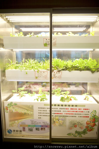 65491-1500179983-3253771298_n.jpg?v=1500180717