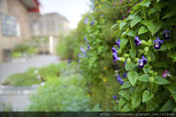 65491-1500180084-3969460704_n.jpg?v=1500180717