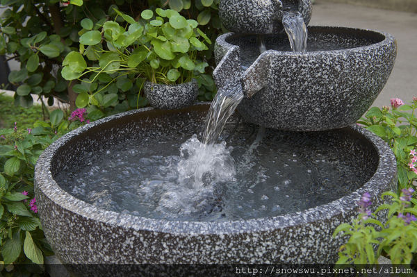 65491-1500179580-978043280_n.jpg?v=1500180713