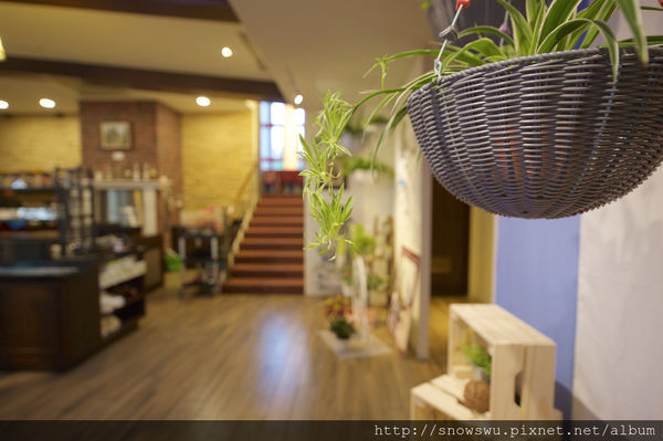 65491-1500179799-2022417622_n.jpg?v=1500180716