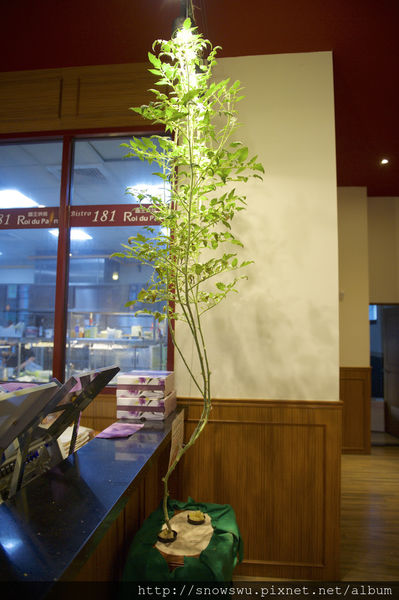 65491-1500179753-63994008_n.jpg?v=1500180715