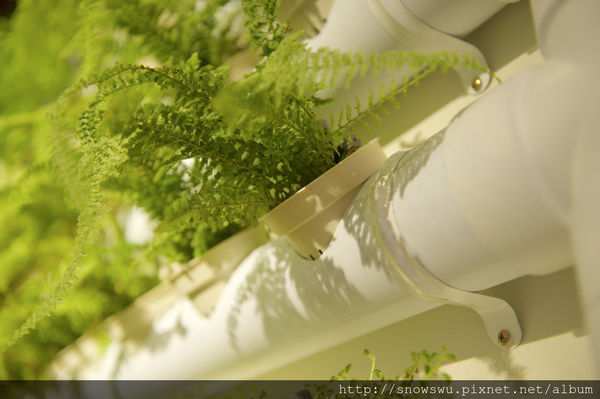 65491-1500179725-2931947679_n.jpg?v=1500180714