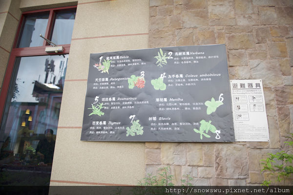 65491-1500180059-896653472_n.jpg?v=1500180717