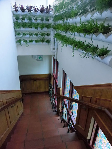 1500649745-468627321_n.jpg?v=1500649789