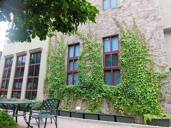 1500649697-4206211508_n.jpg?v=1500649788