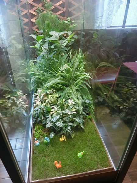 1500649733-1433925802_n.jpg?v=1500649789