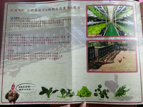 1500649705-3257561195_n.jpg?v=1500649788