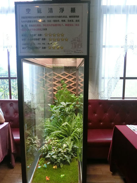 1500649732-4291030145_n.jpg?v=1500649789