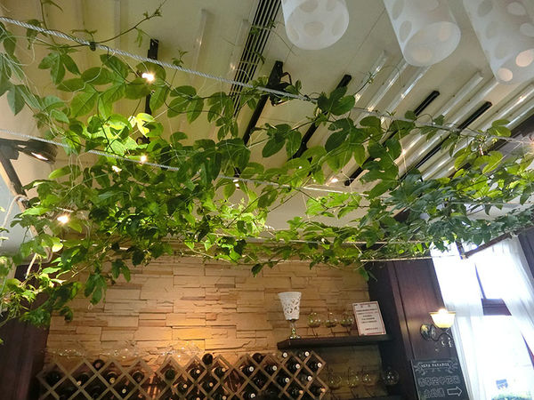 1500649743-1946674254_n.jpg?v=1500649789