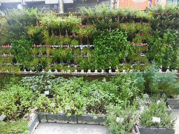 1500649739-2674440599_n.jpg?v=1500649789