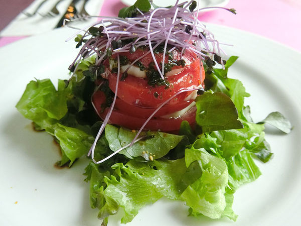 1500649713-1322357211_n.jpg?v=1500649788