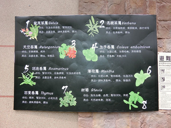 1500649737-3766238516_n.jpg?v=1500649789