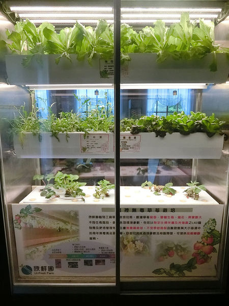 1500649733-151082853_n.jpg?v=1500649789