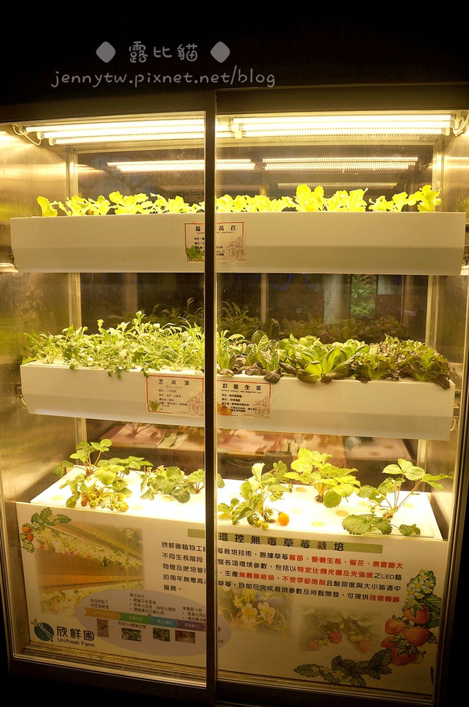 65550-1500610812-1644897989_l.jpg?v=1500610815