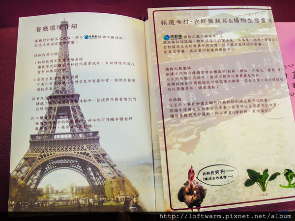 65621-1498637655-3982446747_n.jpg?v=1498637673